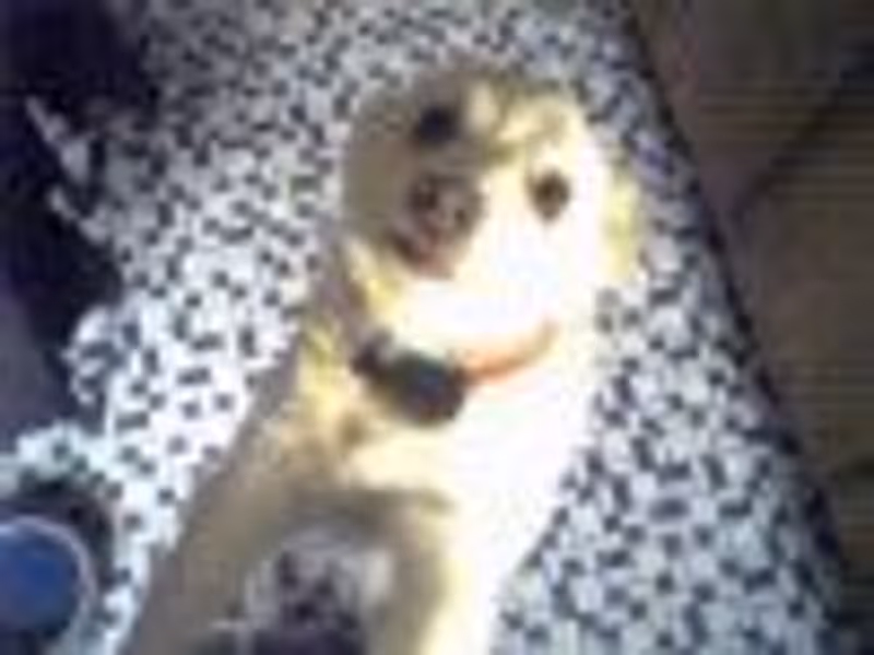 chuckufarley007 profile photo