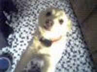 chuckufarley007 Profile Photo