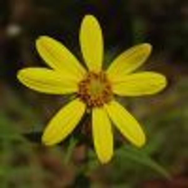 helloworld2 profile photo