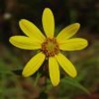 helloworld2 Profile Photo