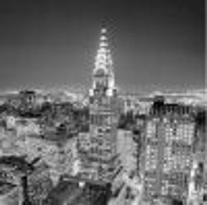 rula bean Profile Photo