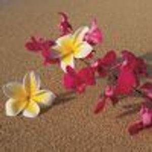 ashleymsu Profile Photo