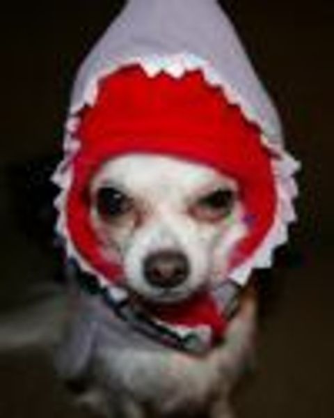 hrh_annette profile photo