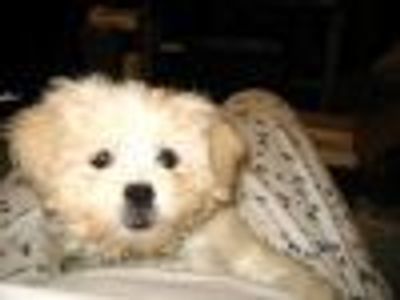 mystique Profile Photo