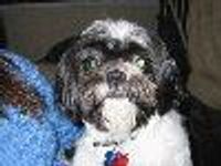 BarbBroadway Profile Photo