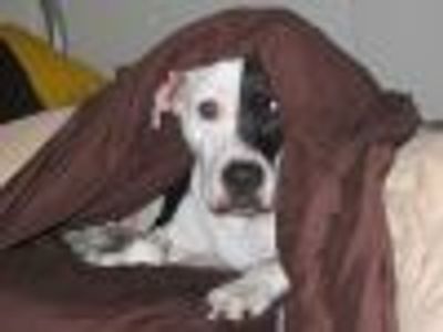 beenthere Profile Photo