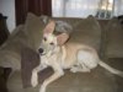 TweetyBird Profile Photo