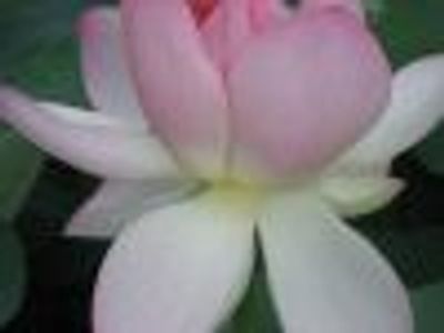 inishmore Profile Photo