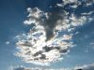 mezzina Profile Photo