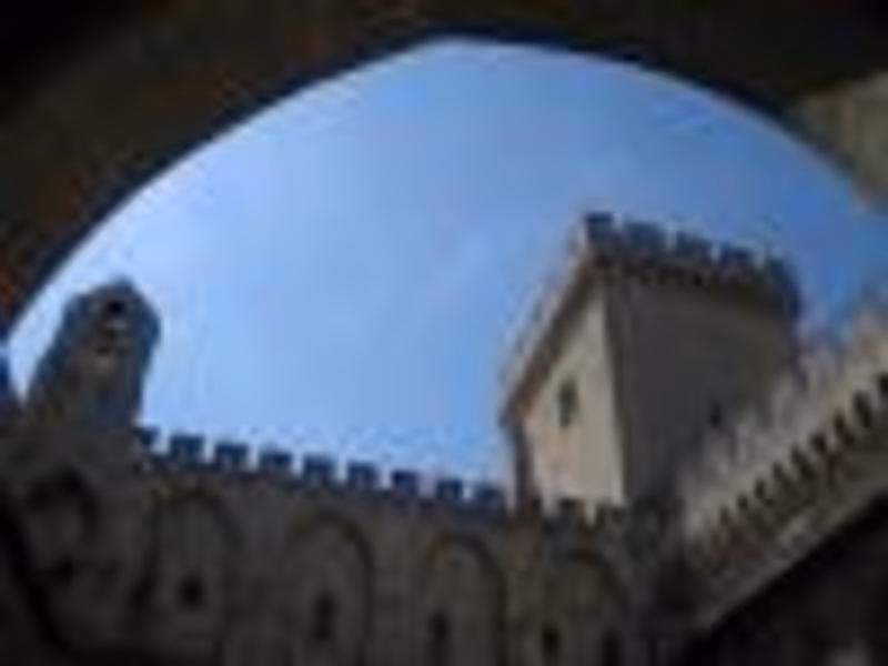 violanotte12 profile photo
