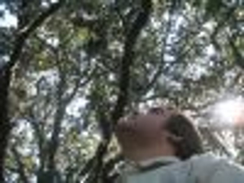 Robert Taylor profile photo