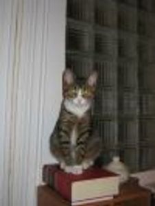 dioquardo Profile Photo
