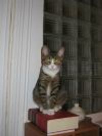 dioquardo Profile Photo