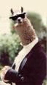 BabyJohn Profile Photo