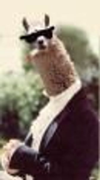 BabyJohn profile photo
