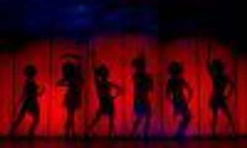 LaCageAuxFollesFan Profile Photo