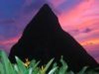 Bradrose Profile Photo