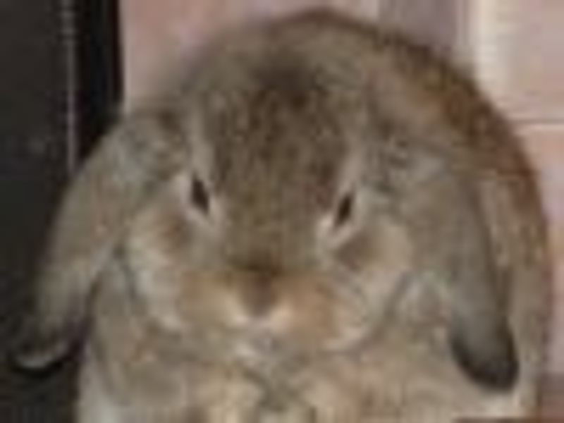 daisyj profile photo