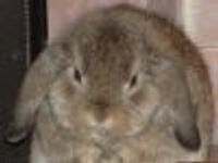 daisyj Profile Photo