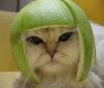 Urbansavages Profile Photo