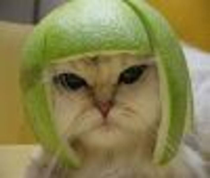 Urbansavages profile photo