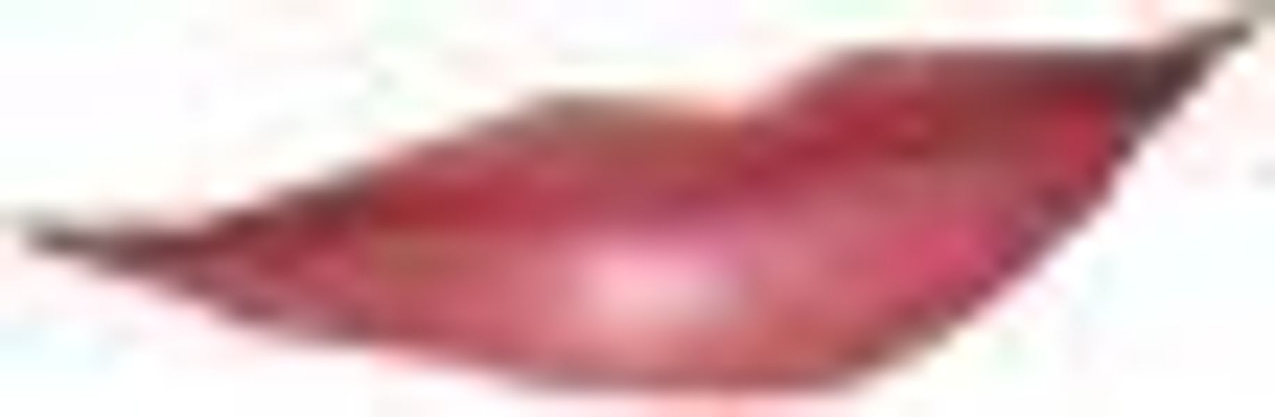 performess profile photo