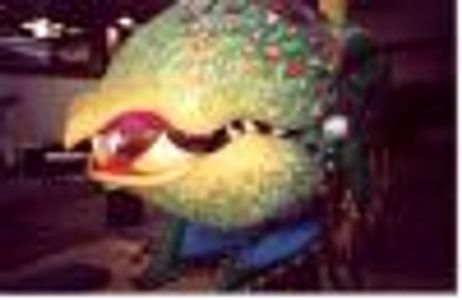 monkeybutt Profile Photo