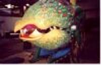 monkeybutt Profile Photo