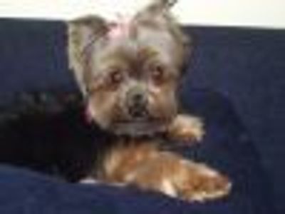 kazacalo2 Profile Photo