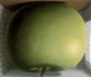 OpenDoors Profile Photo