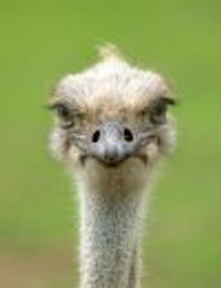 4abetterworld Profile Photo