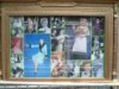 WhyNotTodd Profile Photo