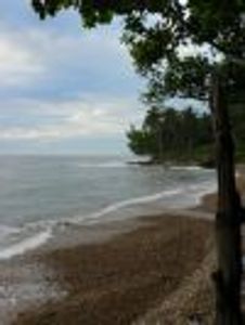 breebranker Profile Photo