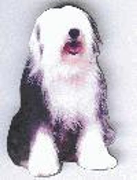 Alvin and My Sheepdog Rex profile photo