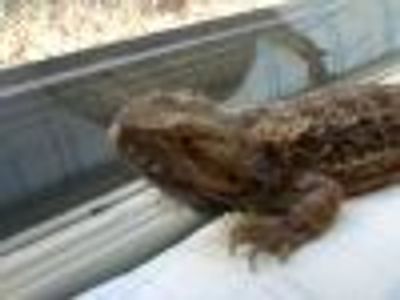 jlc6314 Profile Photo