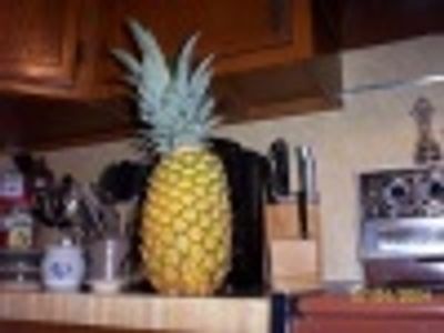 Primajaunerue Profile Photo