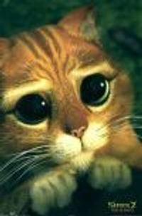 Isn't_It_Ironic Profile Photo