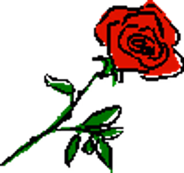 MauveRose profile photo
