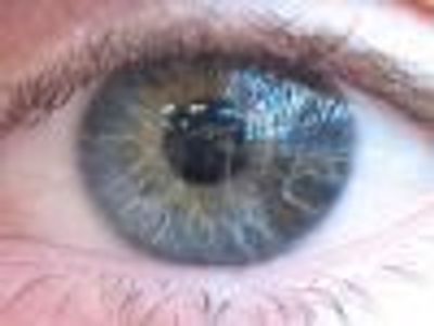 rjmcbean Profile Photo