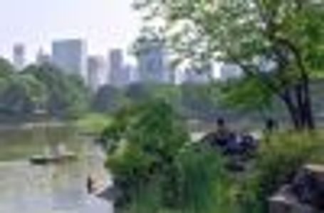 lookoutb-lo Profile Photo