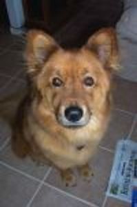 SakeDad Profile Photo