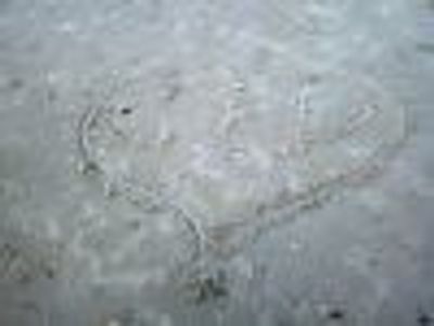 fingerlakessinger Profile Photo
