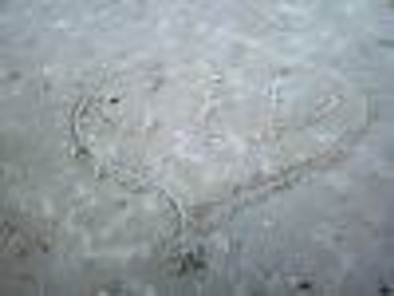fingerlakessinger profile photo