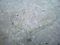 fingerlakessinger Profile Photo