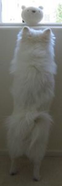 nitsua profile photo