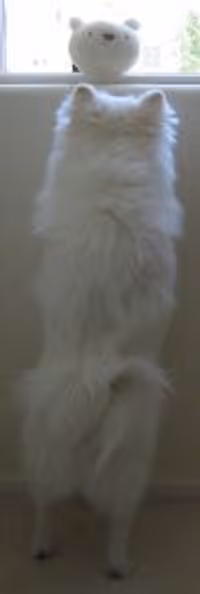 nitsua Profile Photo