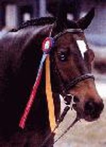 PigletH13 Profile Photo