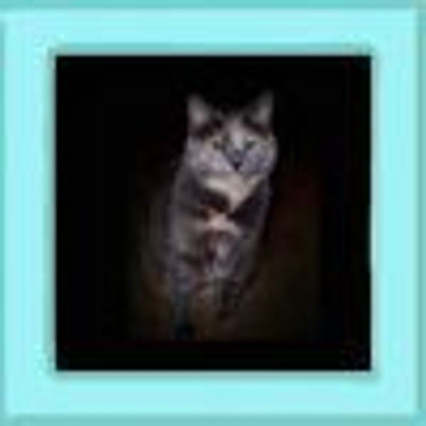 Sally profile photo