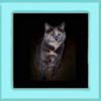 Sally Profile Photo