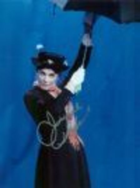 Jolly Holiday profile photo